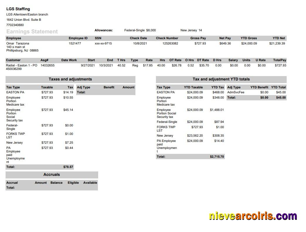 LGS Staffing pay stub